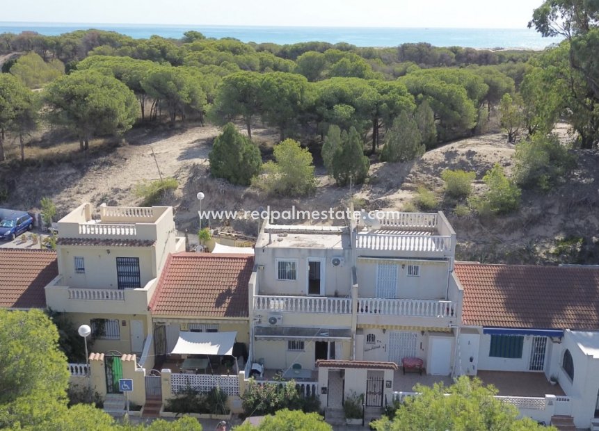 Revente - Maison de ville -
Guardamar del Segura - Costa Blanca