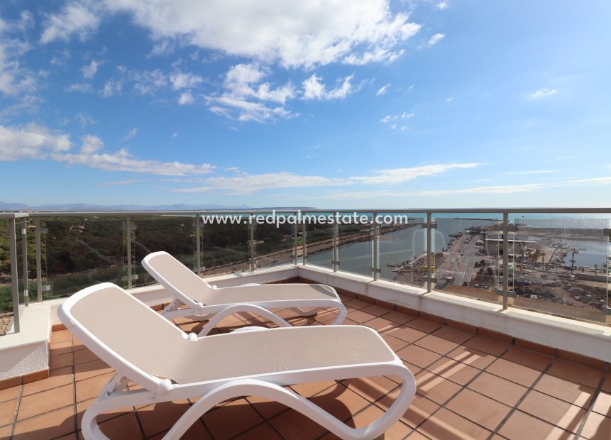 Revente - Maison de ville -
Guardamar del Segura - Guardamar