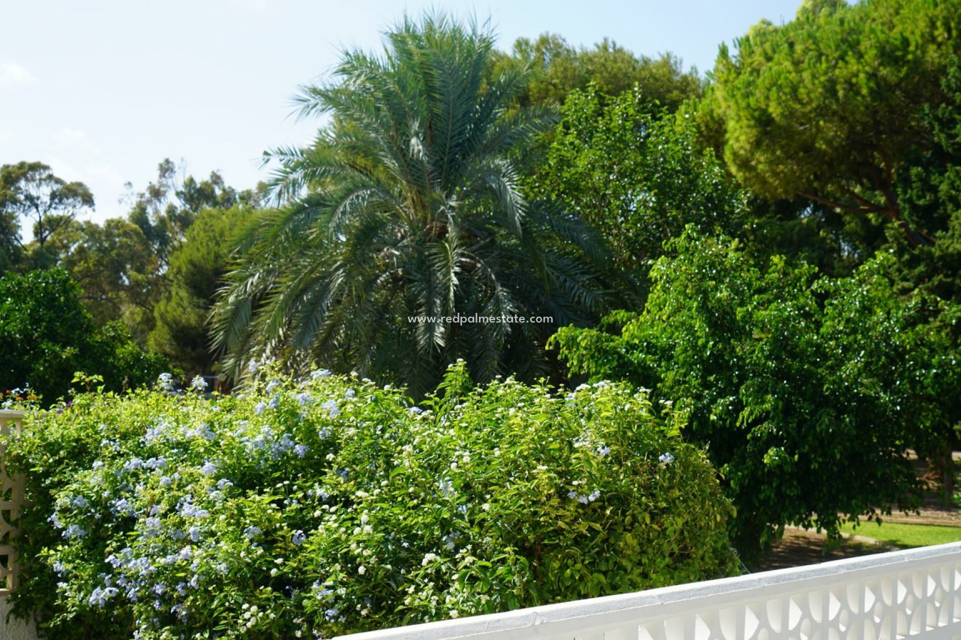 Revente - Maison de ville -
Orihuela Costa - Costa Blanca