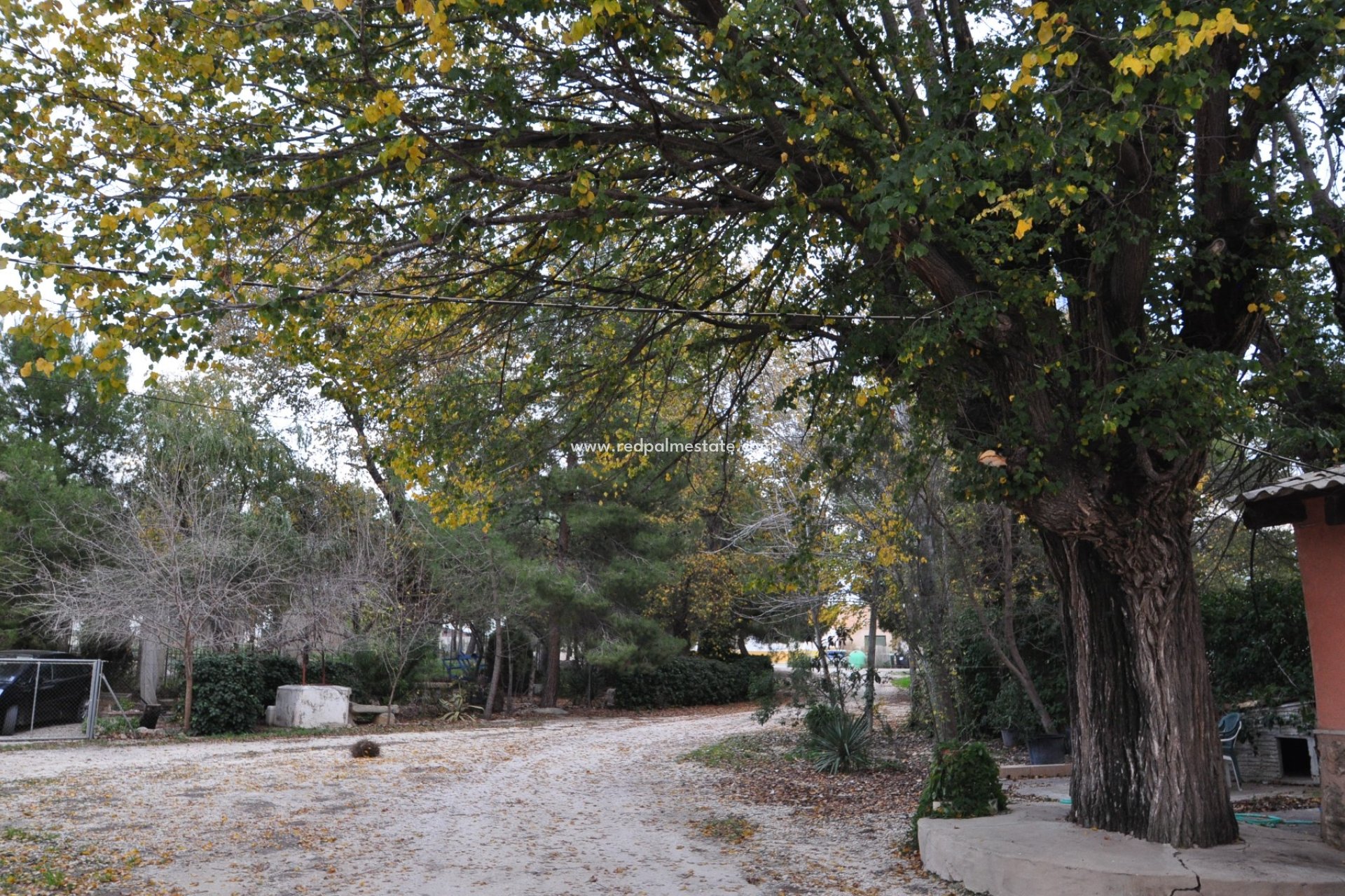 Revente - Maison de ville -
Pinoso - Inland