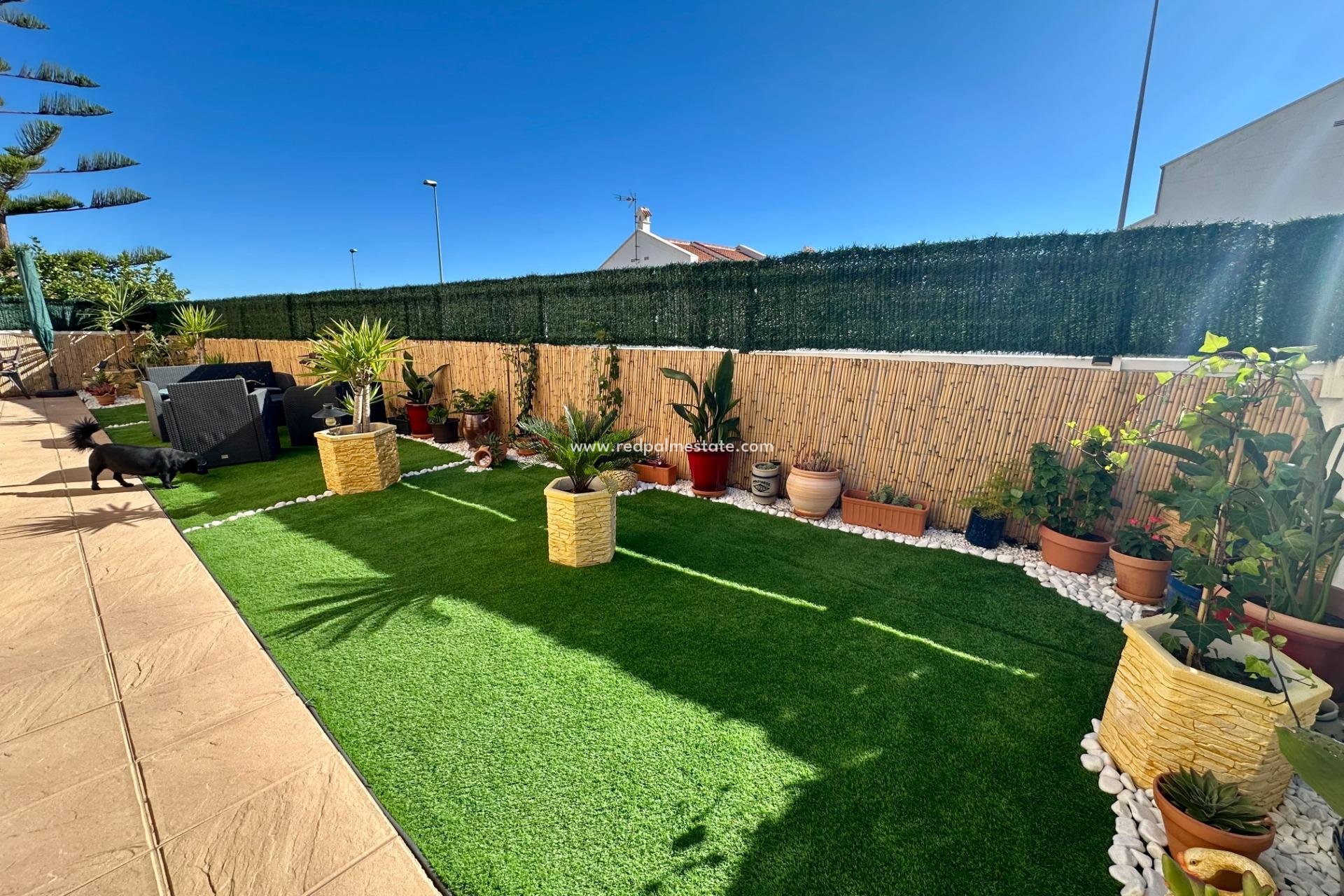 Revente - Maison de ville -
San Miguel de Salinas - Residencial Los Flamencos