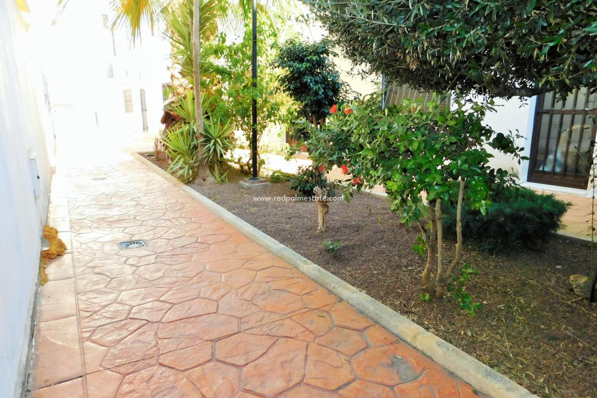 Revente - Maison de ville -
San Miguel de Salinas - San Miguel Salinas