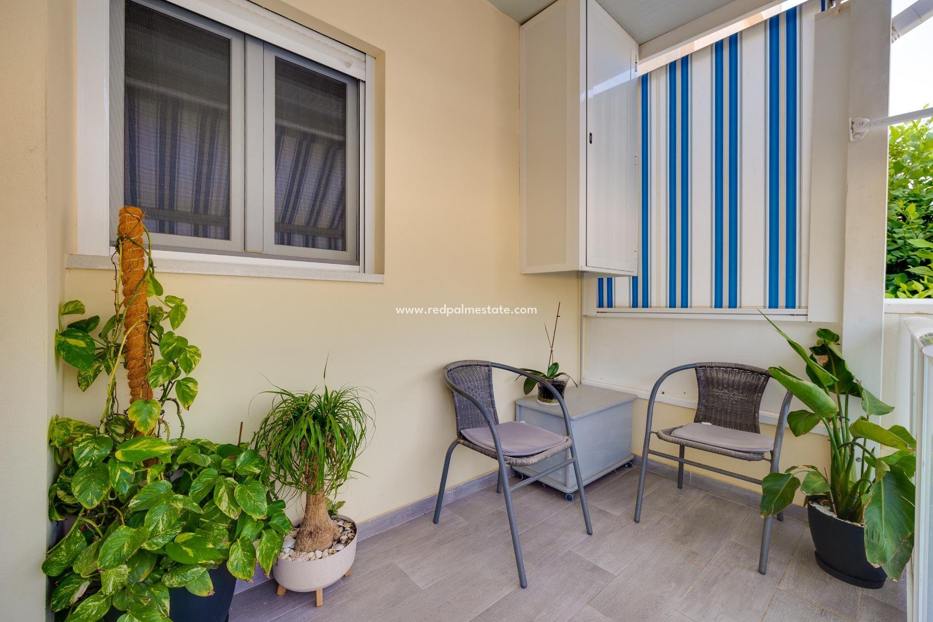 Revente - Maison de ville -
Torrevieja - Aguas Nueva
