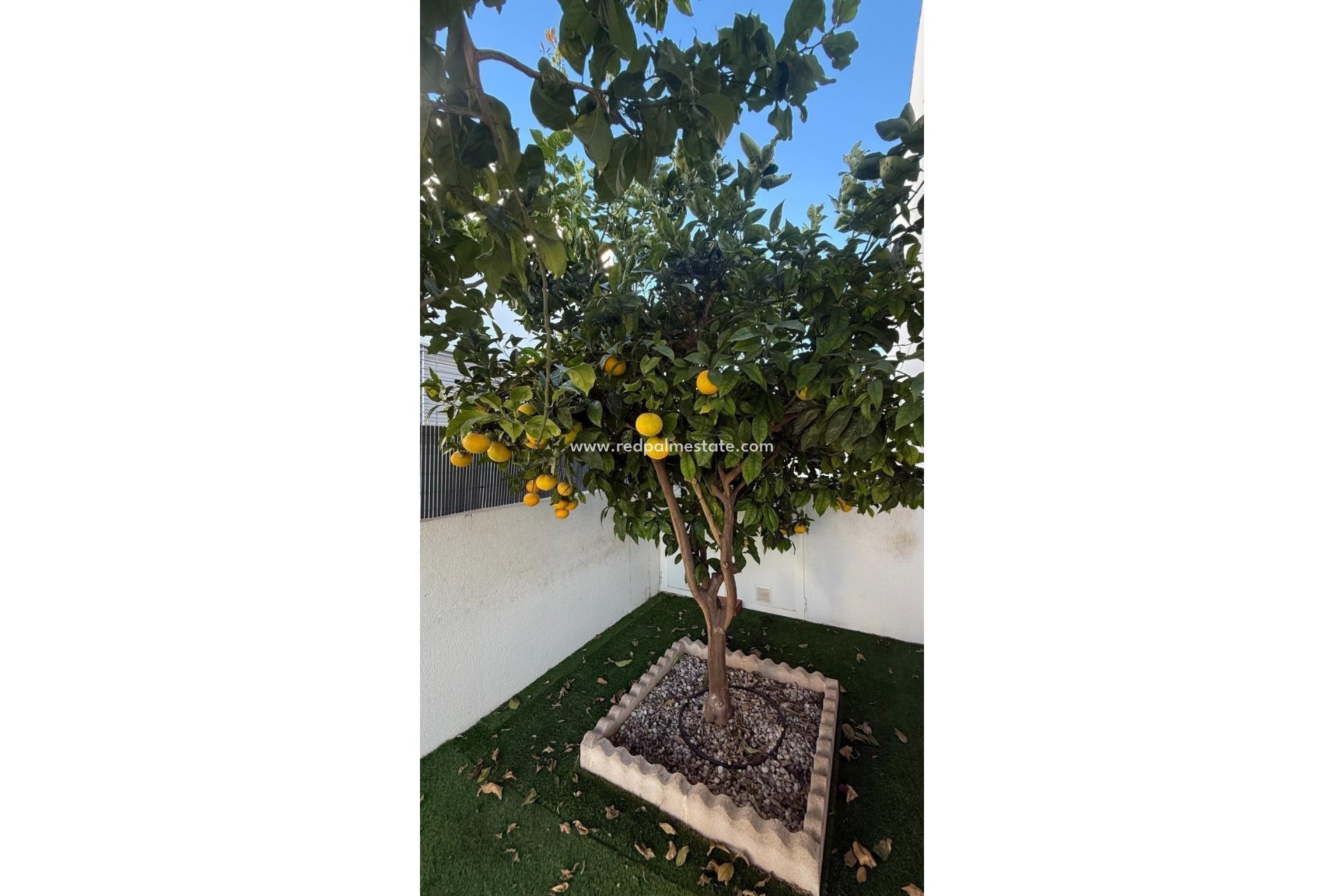 Revente - Maison de ville -
Torrevieja - Aguas Nueva