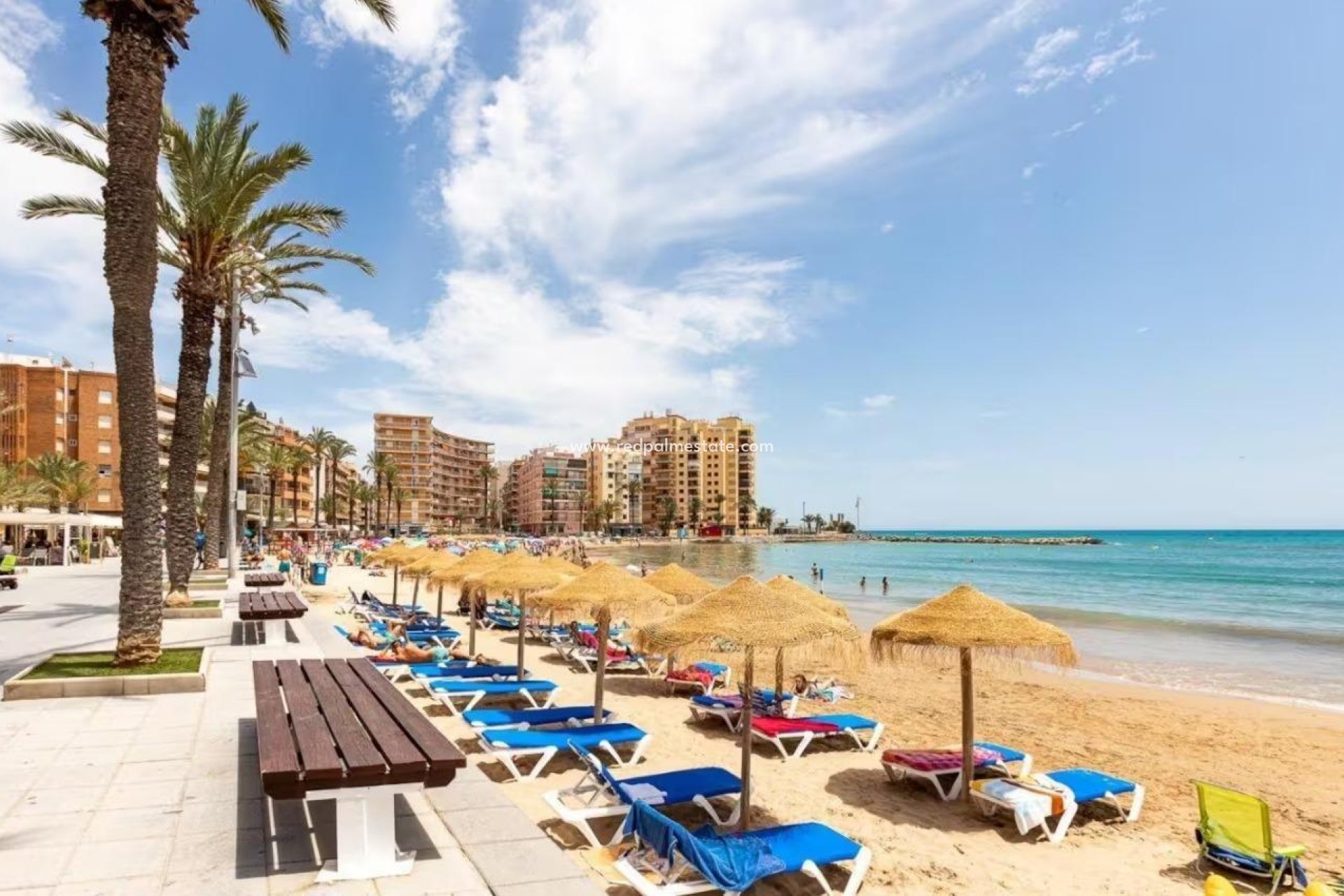 Revente - Maison de ville -
Torrevieja - Cabo cervera