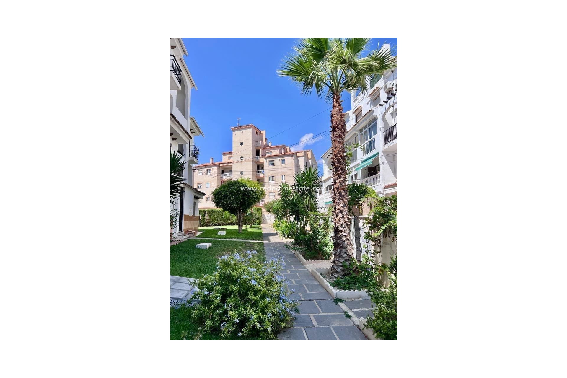 Revente - Maison de ville -
Torrevieja - Calas blanca