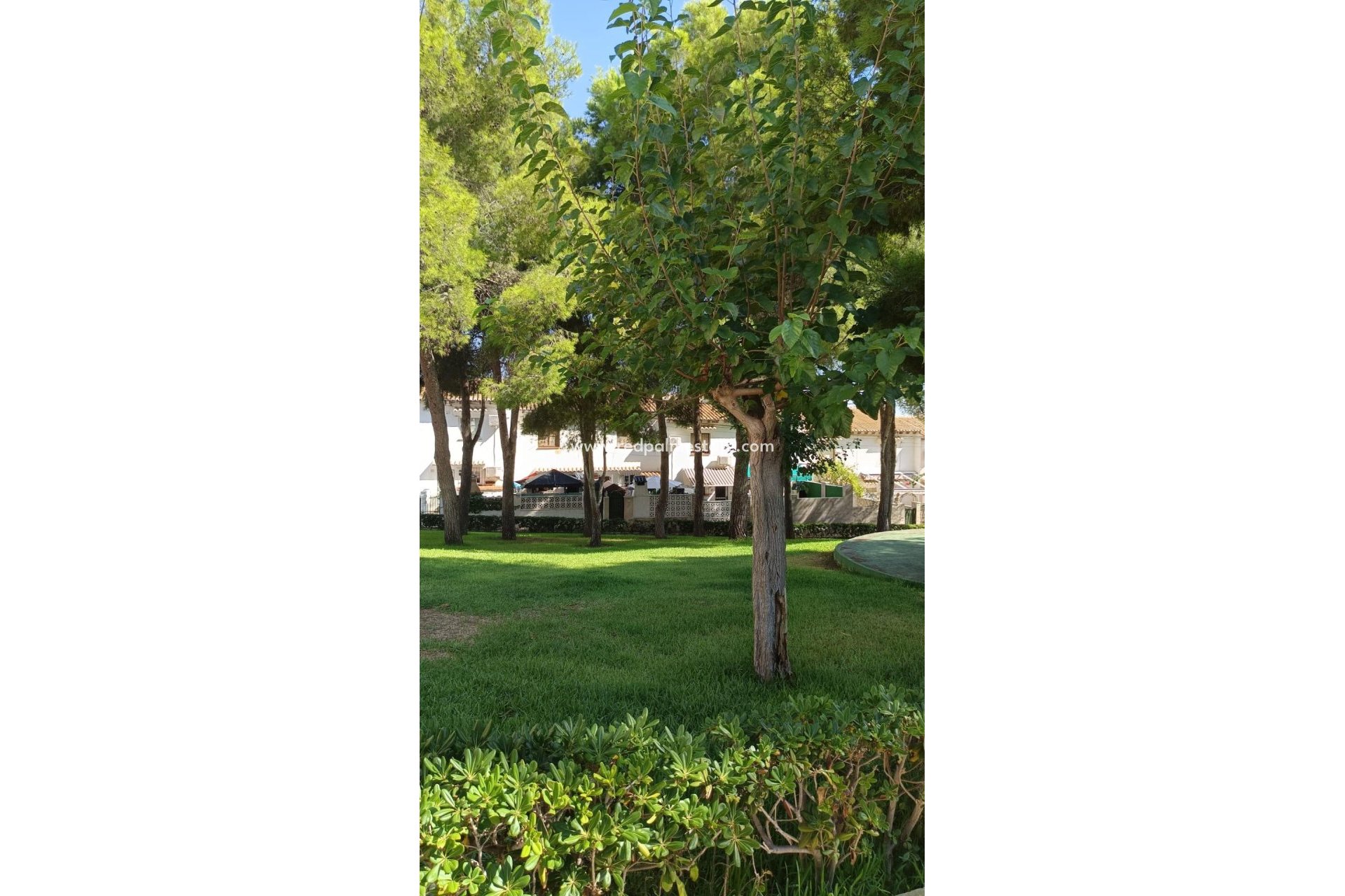 Revente - Maison de ville -
Torrevieja - Los balcones