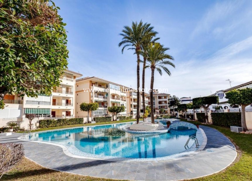 Revente - Maison de ville -
Torrevieja - Torre la mata