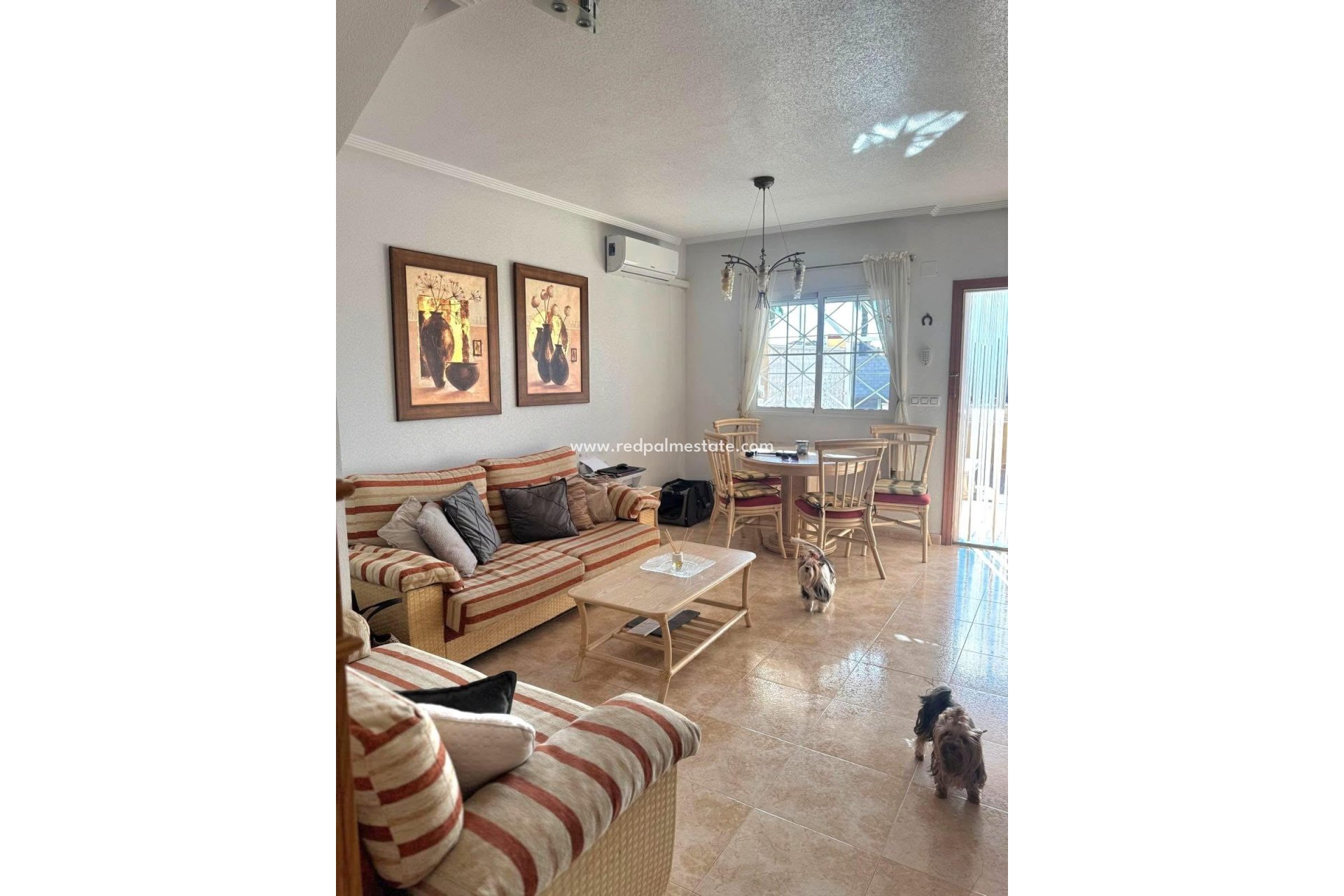 Revente - Maison de ville -
Torrevieja - Torreblanca