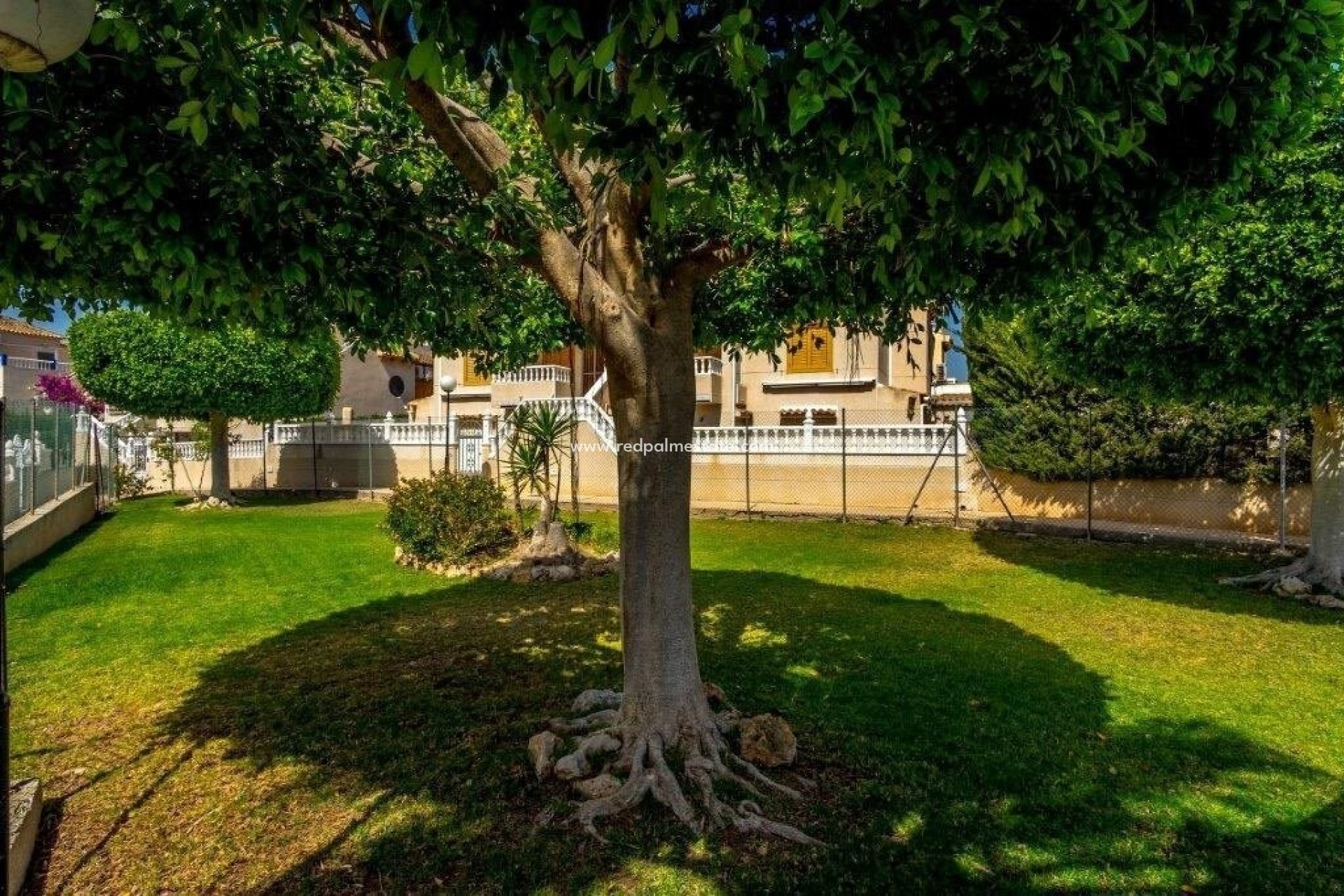 Revente - Maison Quadruple -
Torrevieja - Los altos