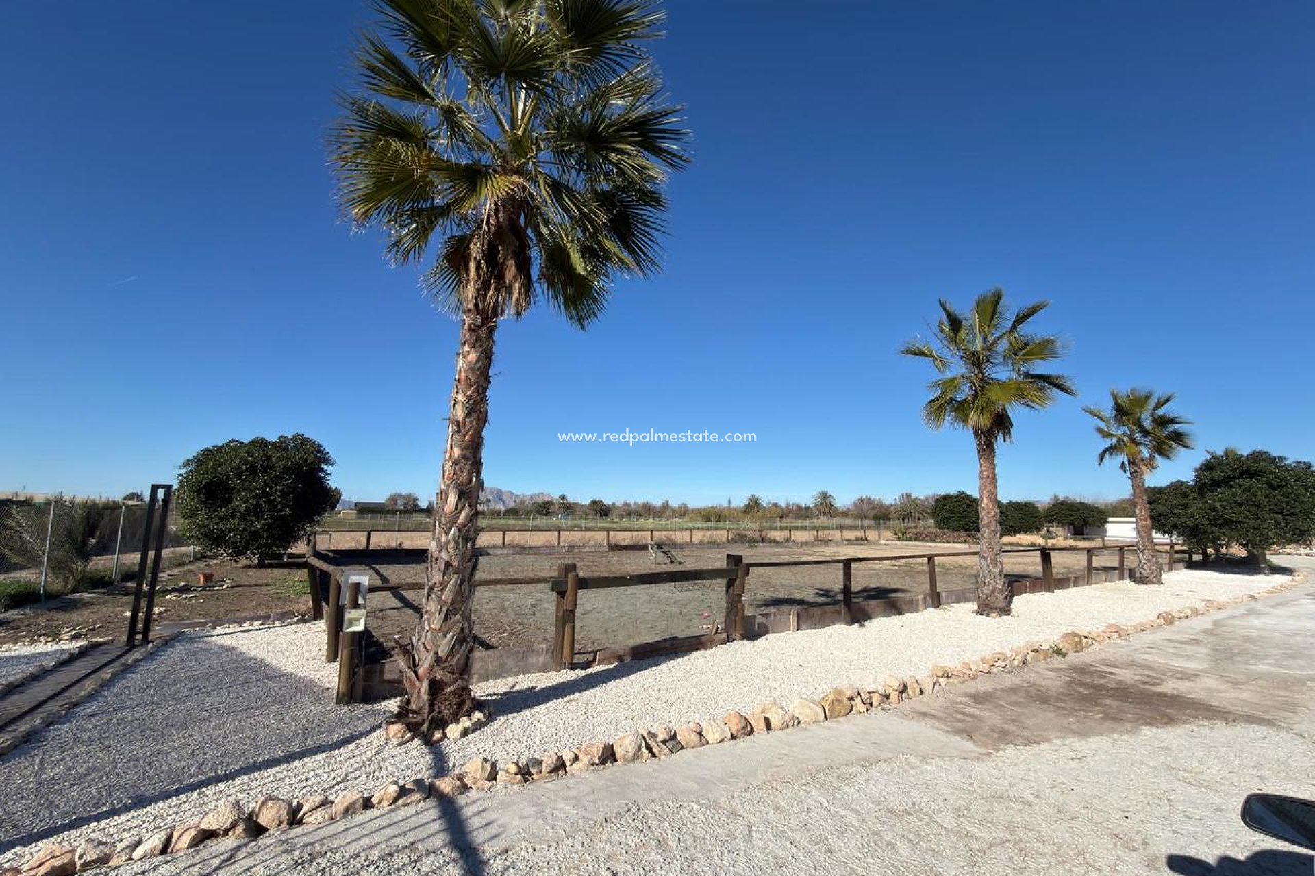 Revente - Parcelle -
Algorfa - Inland