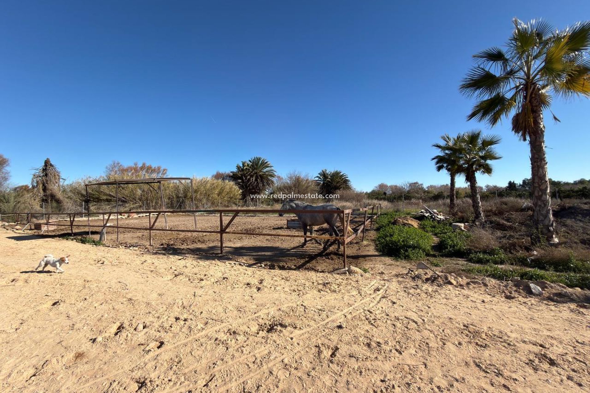 Revente - Parcelle -
Algorfa - Inland