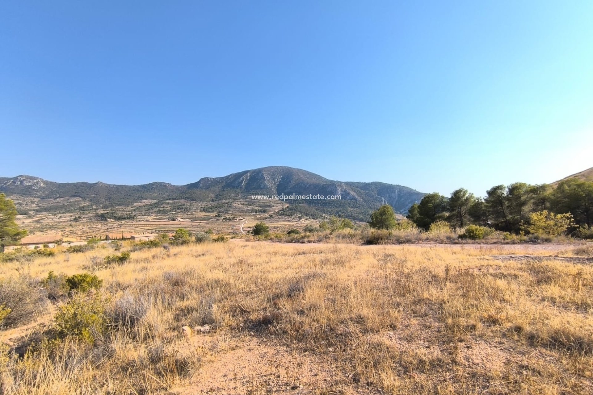 Revente - Parcelle -
Algueña - Inland