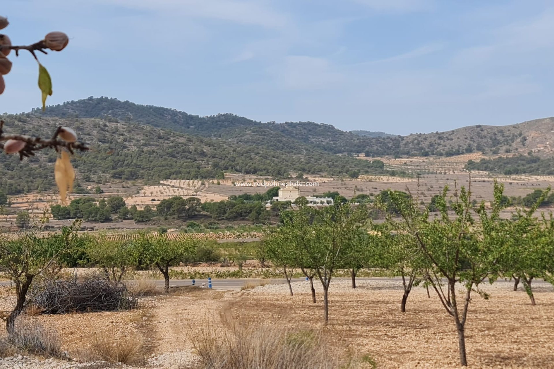 Revente - Parcelle -
Algueña - Inland