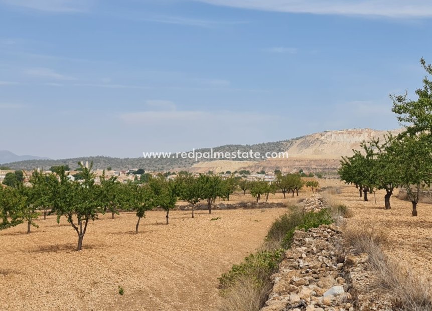 Revente - Parcelle -
Algueña - Inland
