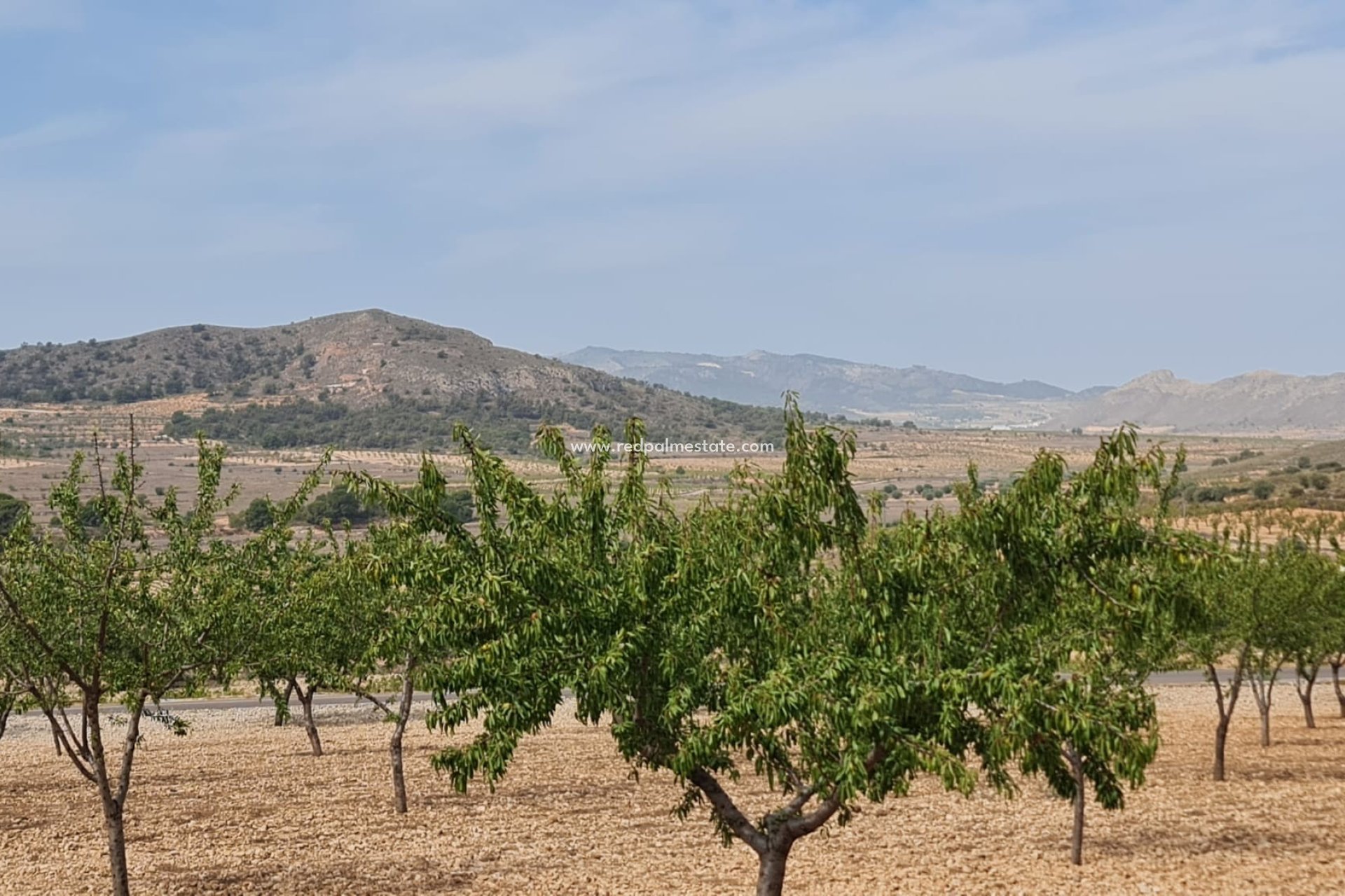 Revente - Parcelle -
Algueña - Inland