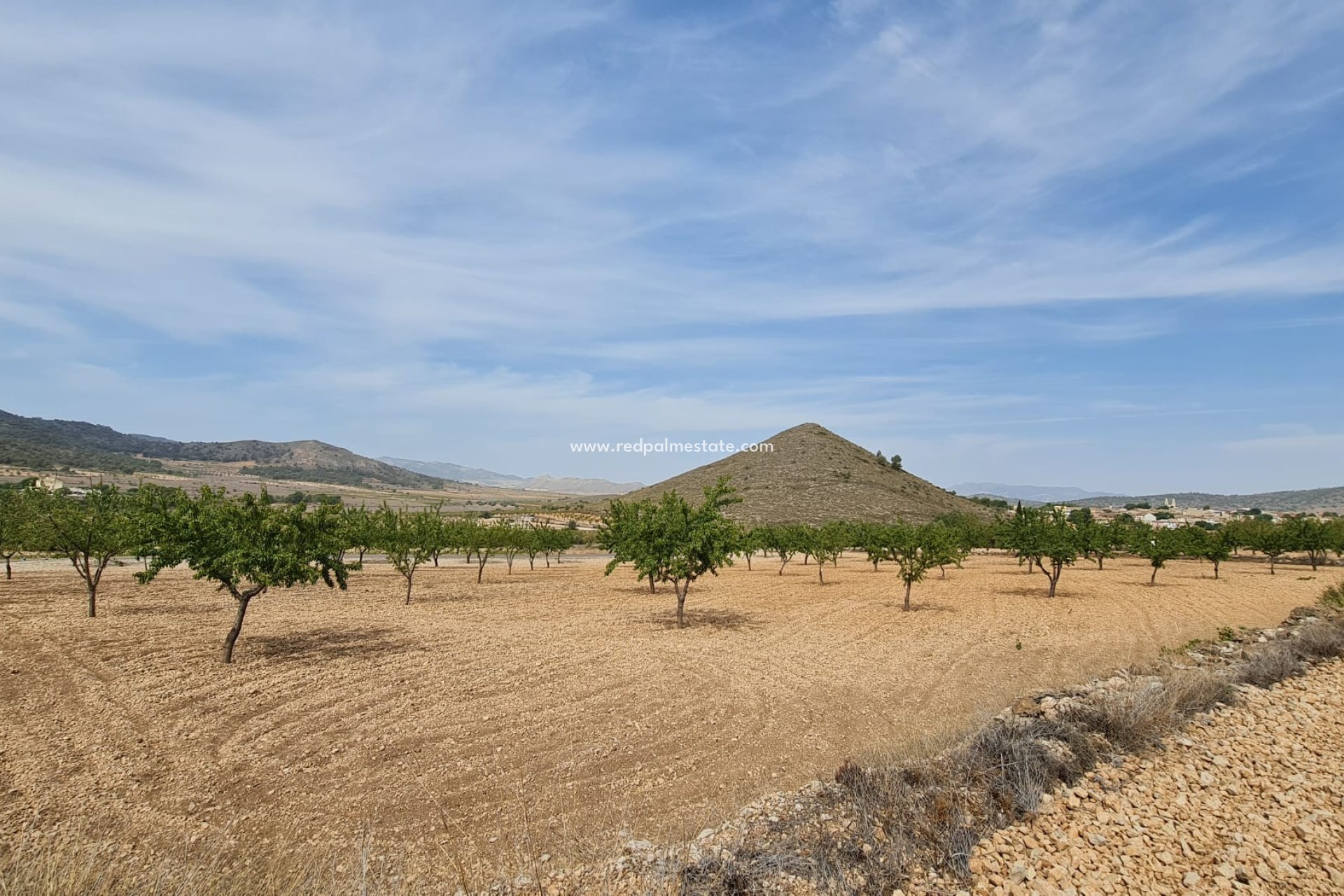 Revente - Parcelle -
Algueña - Inland