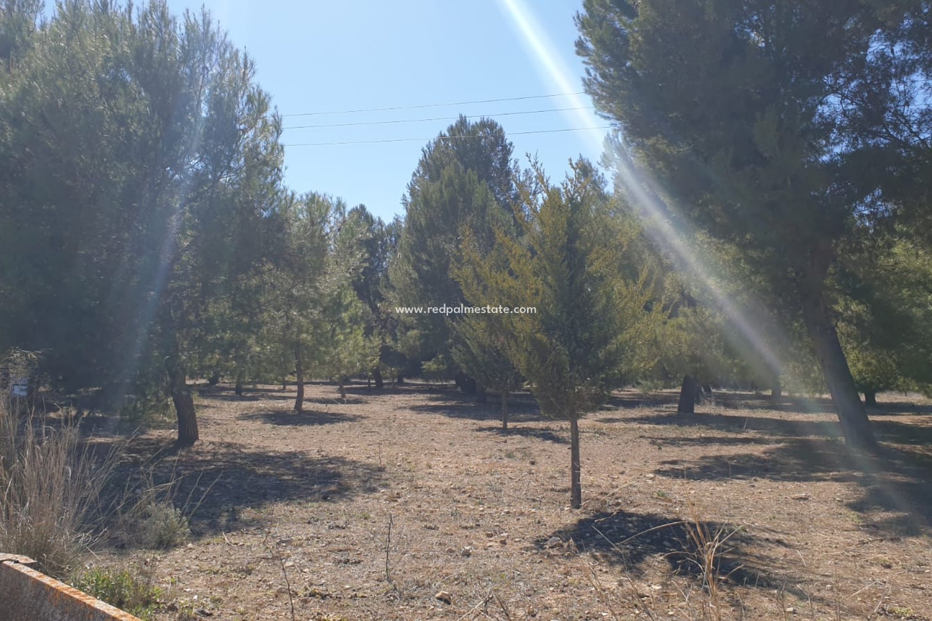 Revente - Parcelle -
Beneixama - Inland