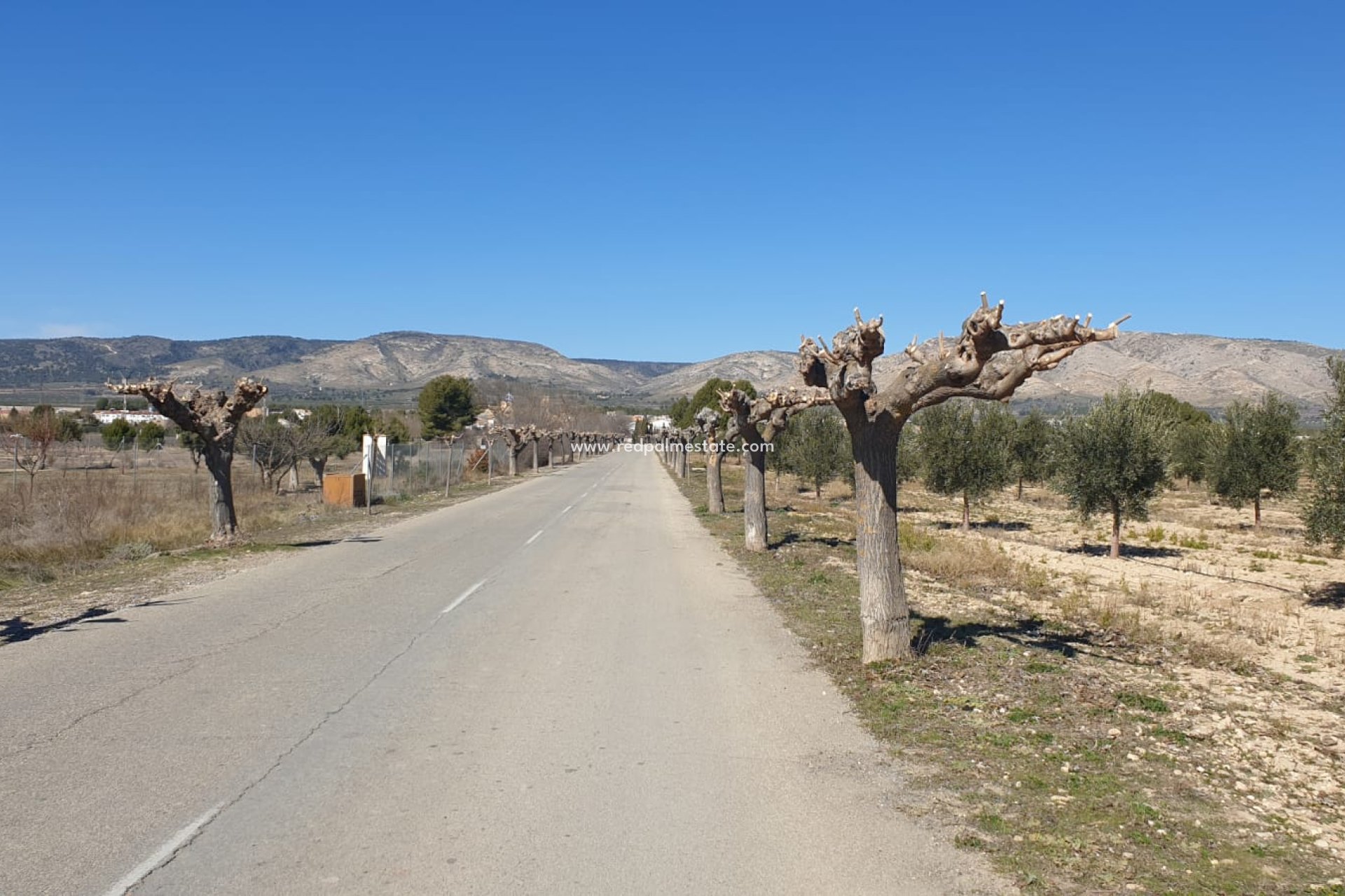 Revente - Parcelle -
Beneixama - Inland