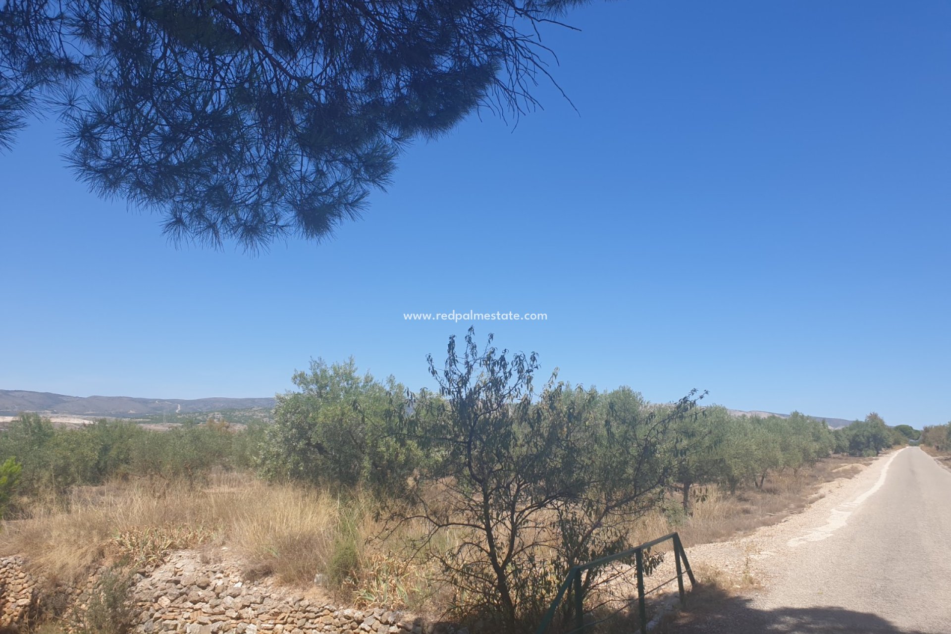 Revente - Parcelle -
Biar - Inland