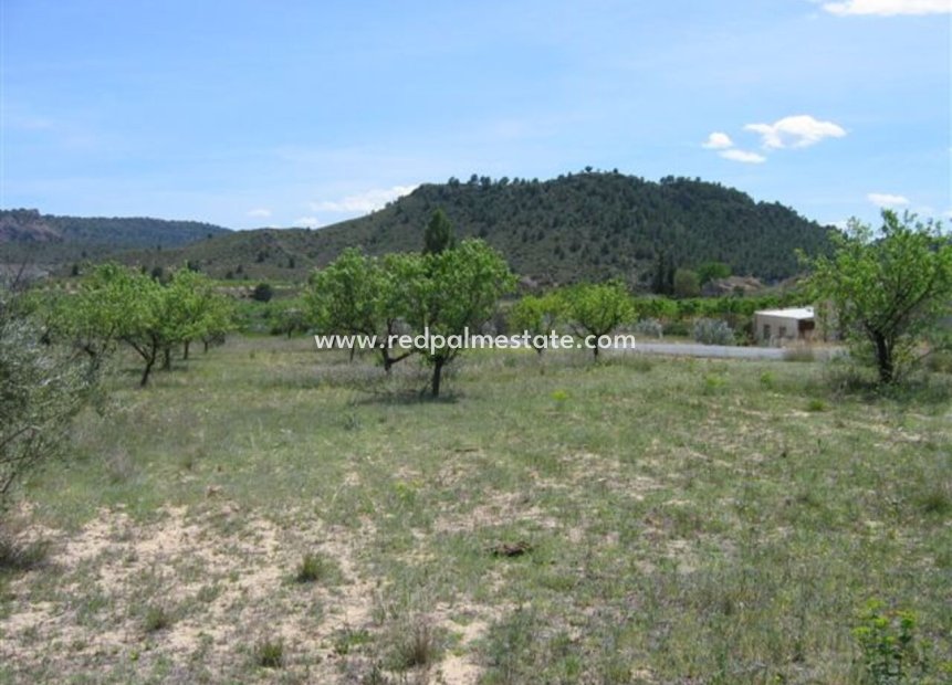 Revente - Parcelle -
Calasparra - Inland