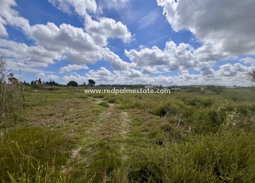 Revente - Parcelle -
Catral - Costa Blanca