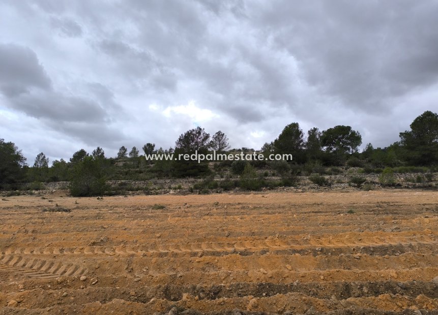 Revente - Parcelle -
Chinorlet - Inland