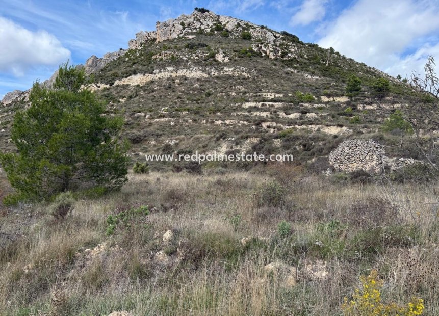 Revente - Parcelle -
Confrides - Barranc de Xarquera