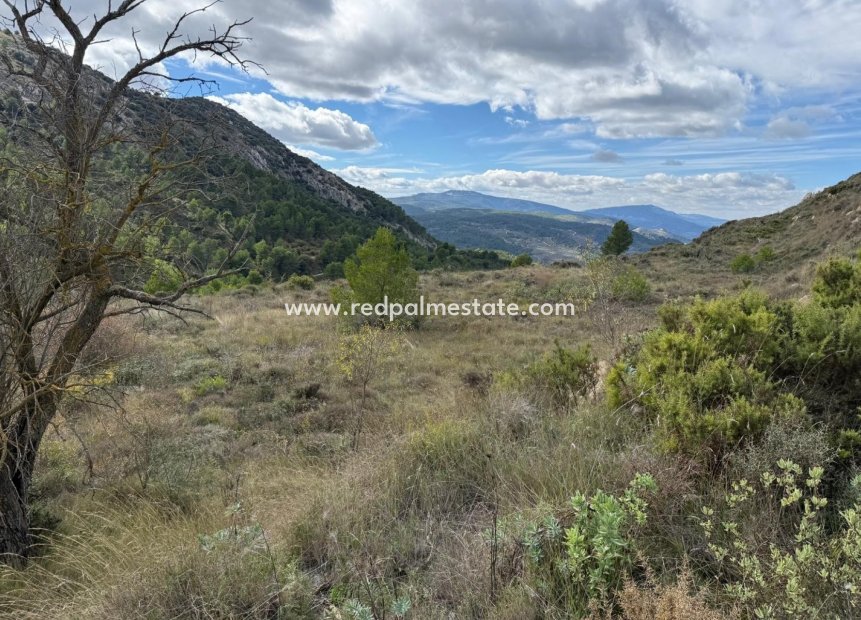 Revente - Parcelle -
Confrides - Barranc de Xarquera