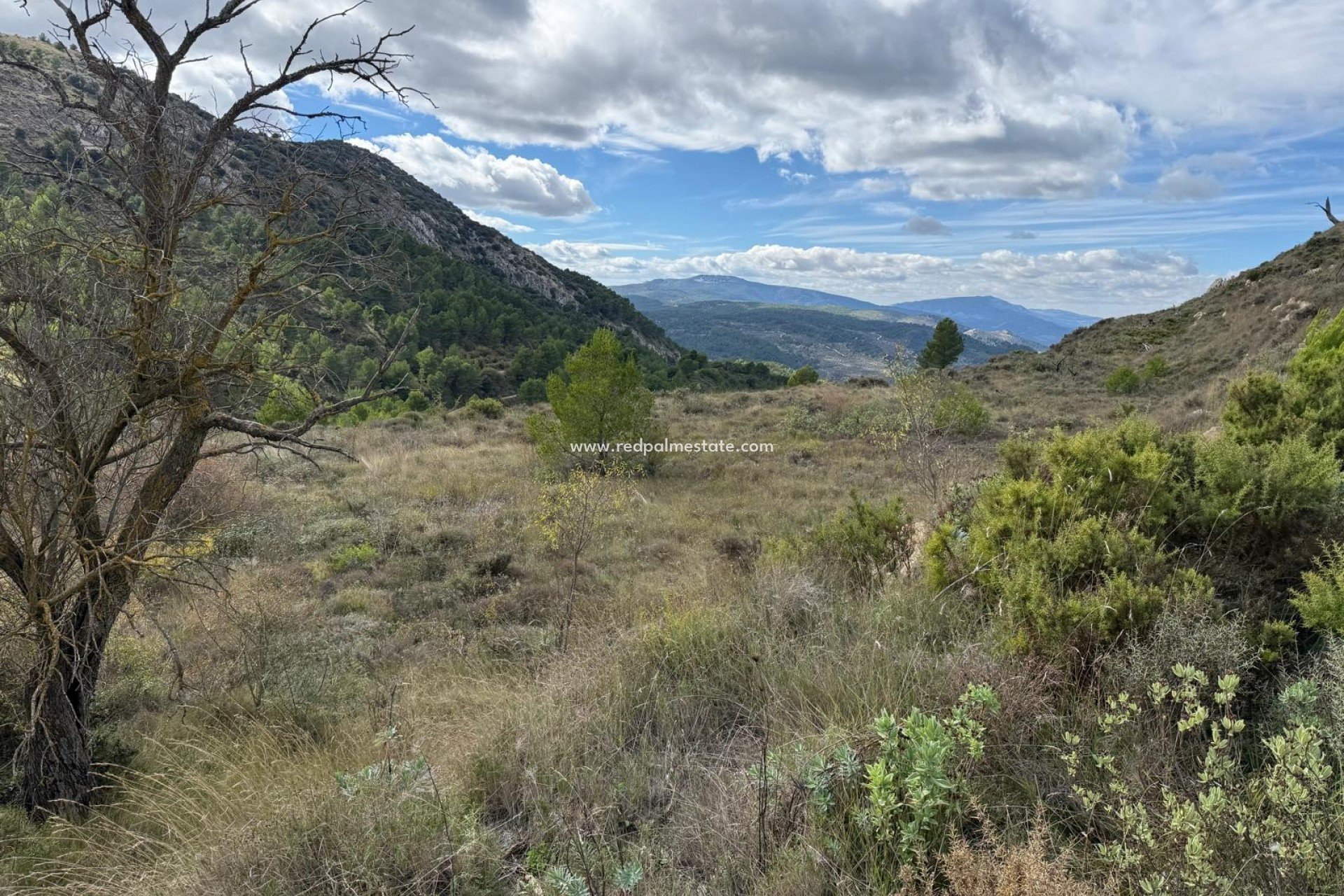 Revente - Parcelle -
Confrides - Barranc de Xarquera