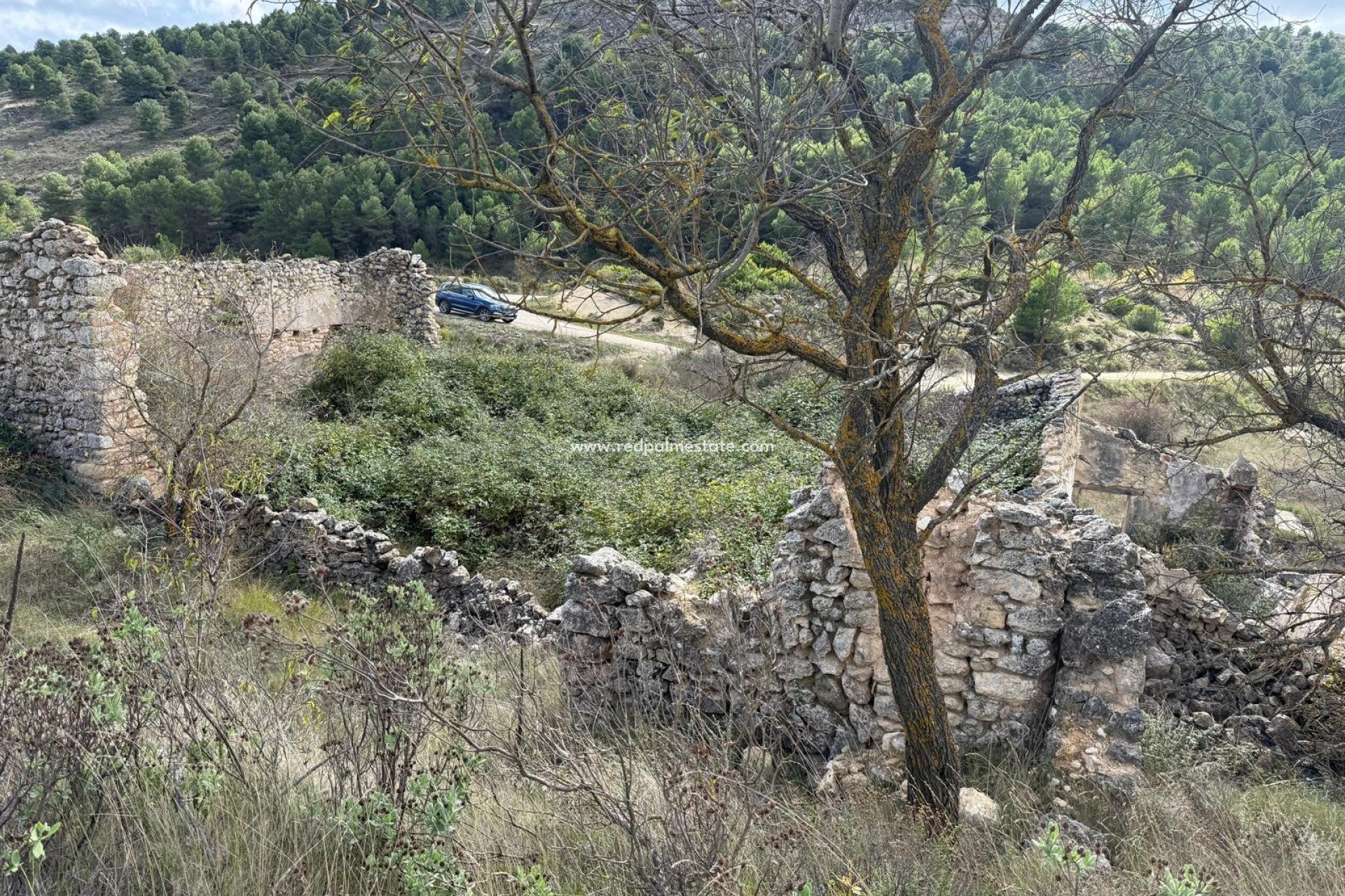 Revente - Parcelle -
Confrides - Barranc de Xarquera