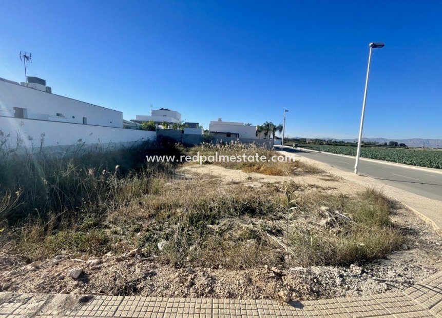 Revente - Parcelle -
Formentera del Segura - Formentera De Segura