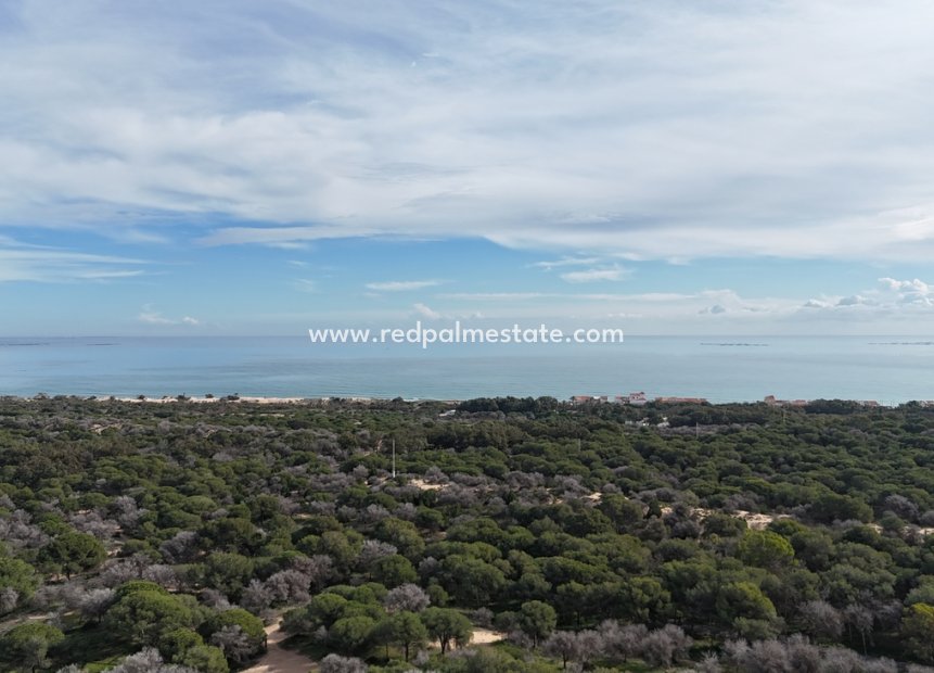 Revente - Parcelle -
Guardamar del Segura - Guardamar