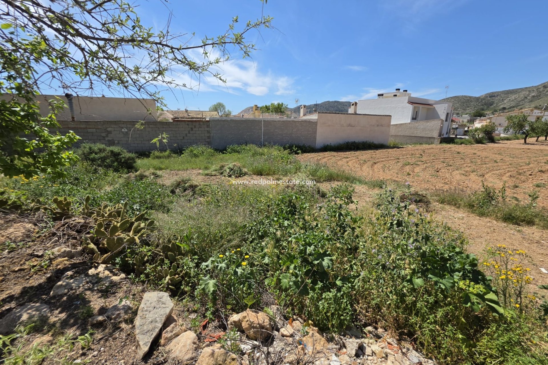 Revente - Parcelle -
Hondón de las Nieves - Inland