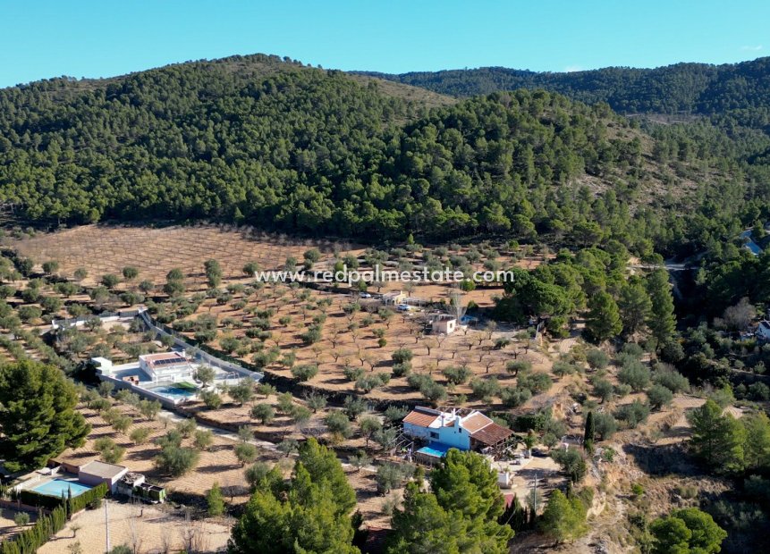 Revente - Parcelle -
Ibi - Costa Blanca