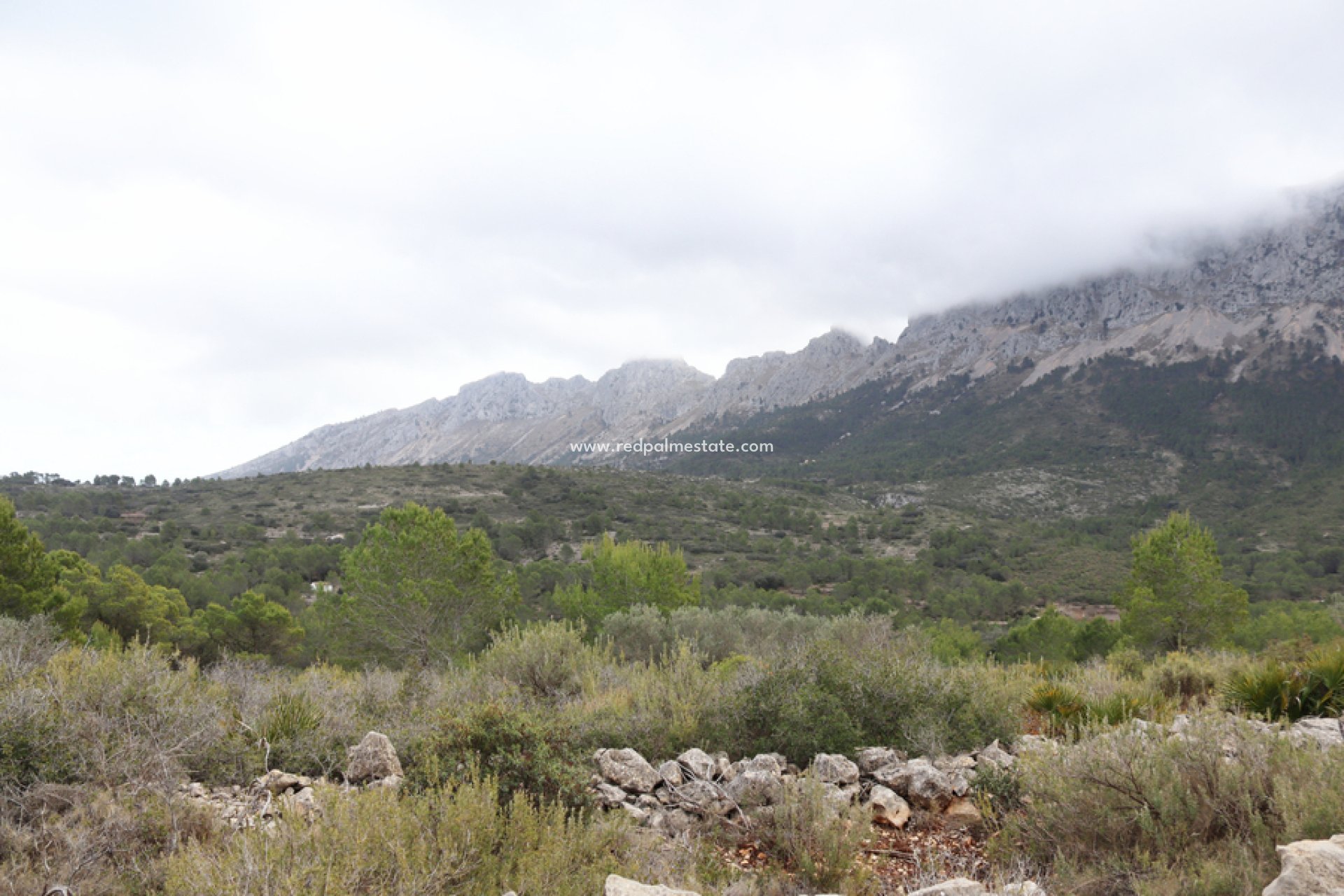 Revente - Parcelle -
Jalón - Inland