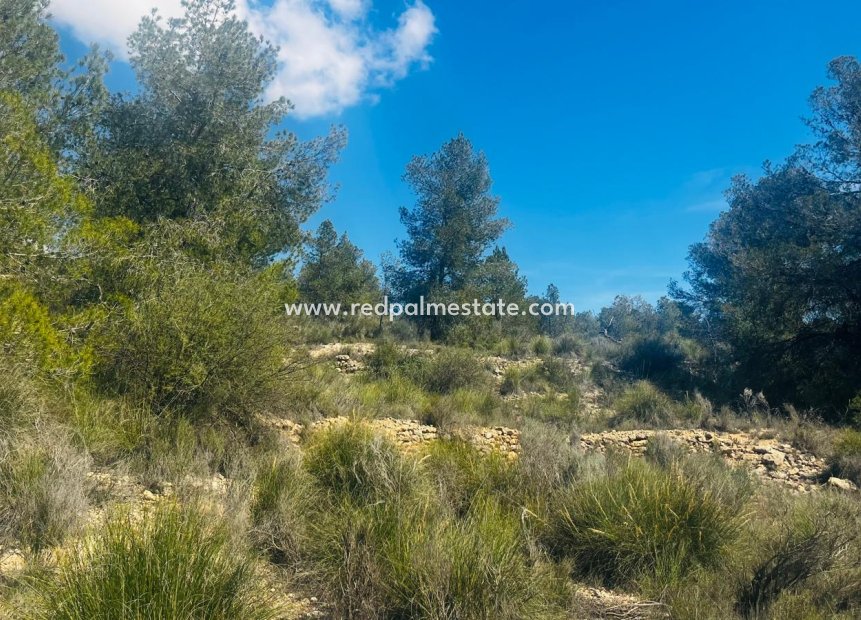 Revente - Parcelle -
La Romana - Inland