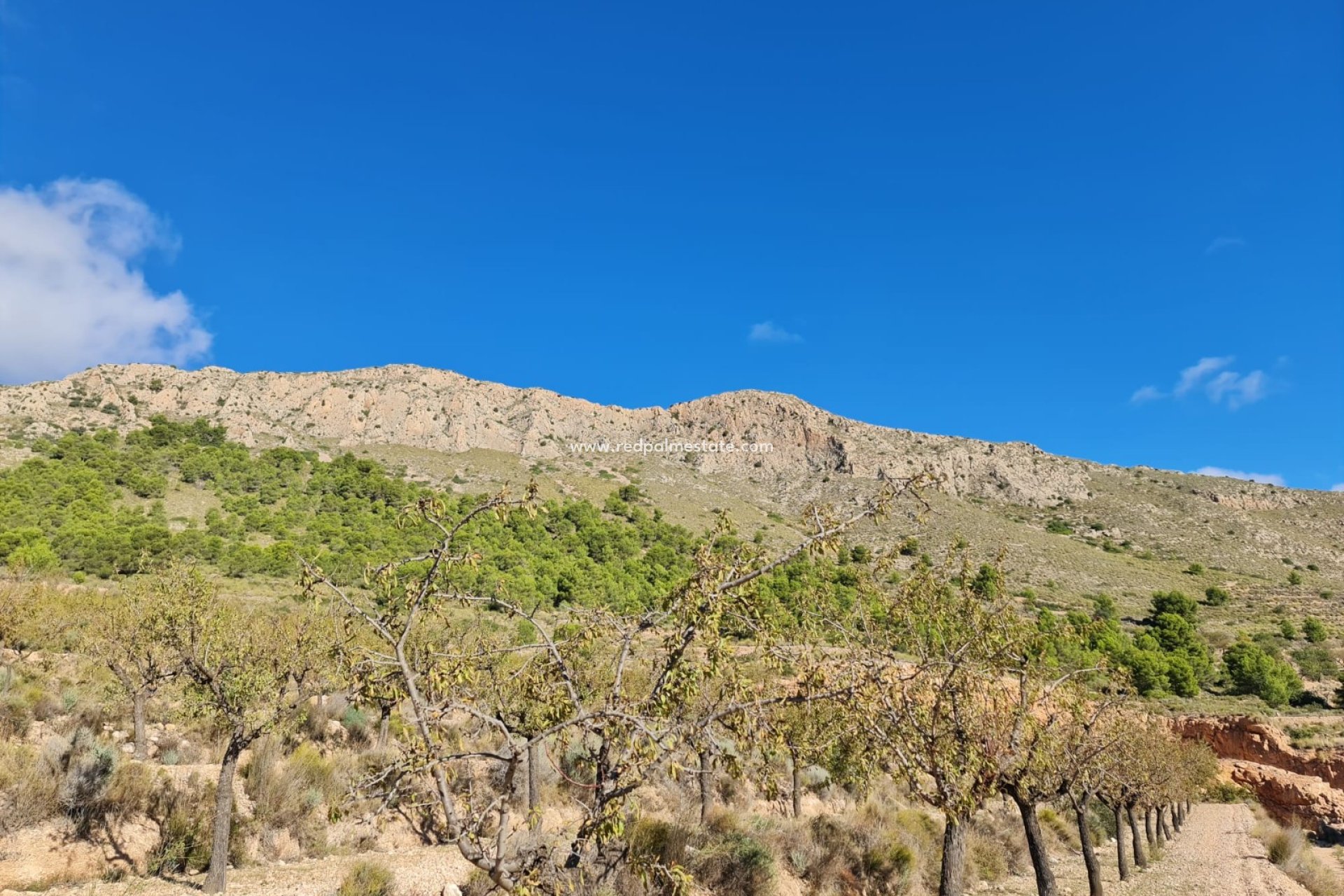 Revente - Parcelle -
La Romana - Inland