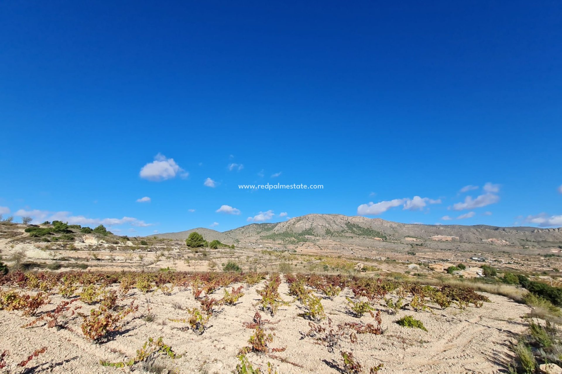 Revente - Parcelle -
La Romana - Inland
