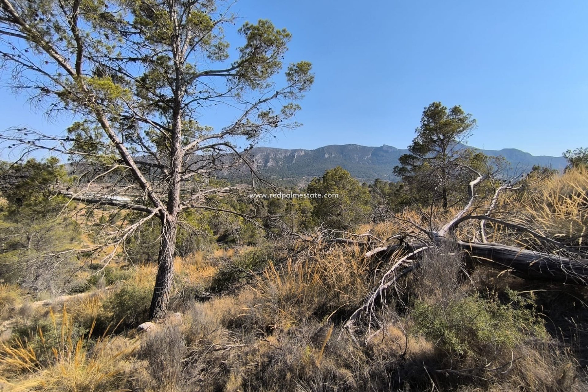 Revente - Parcelle -
La Romana - Inland