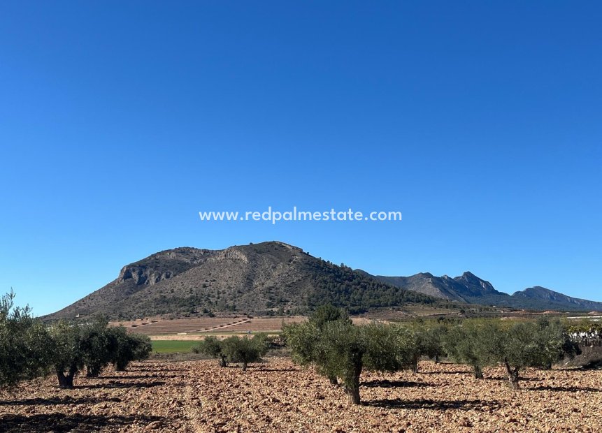 Revente - Parcelle -
La Romana - Inland