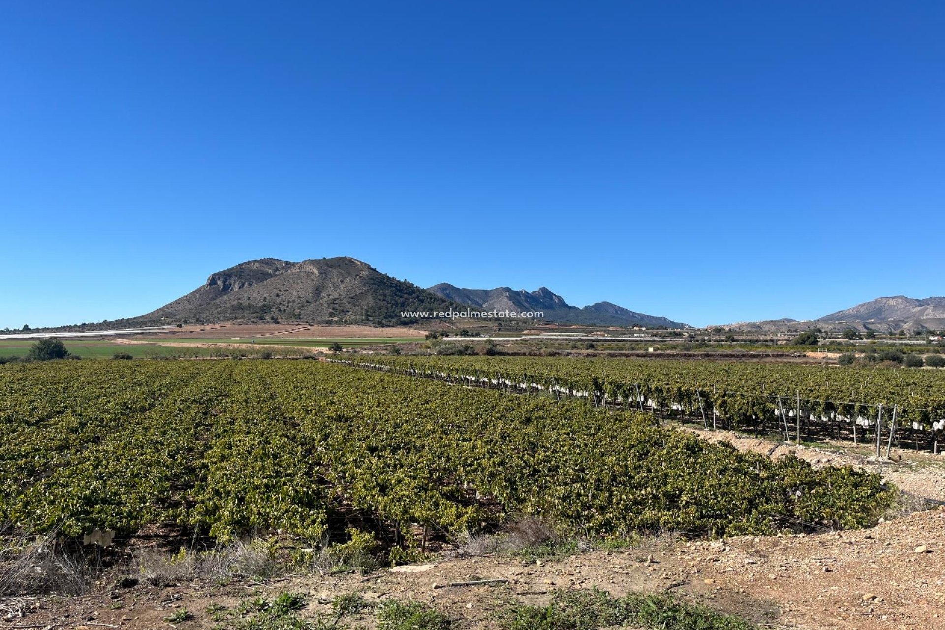 Revente - Parcelle -
La Romana - Inland