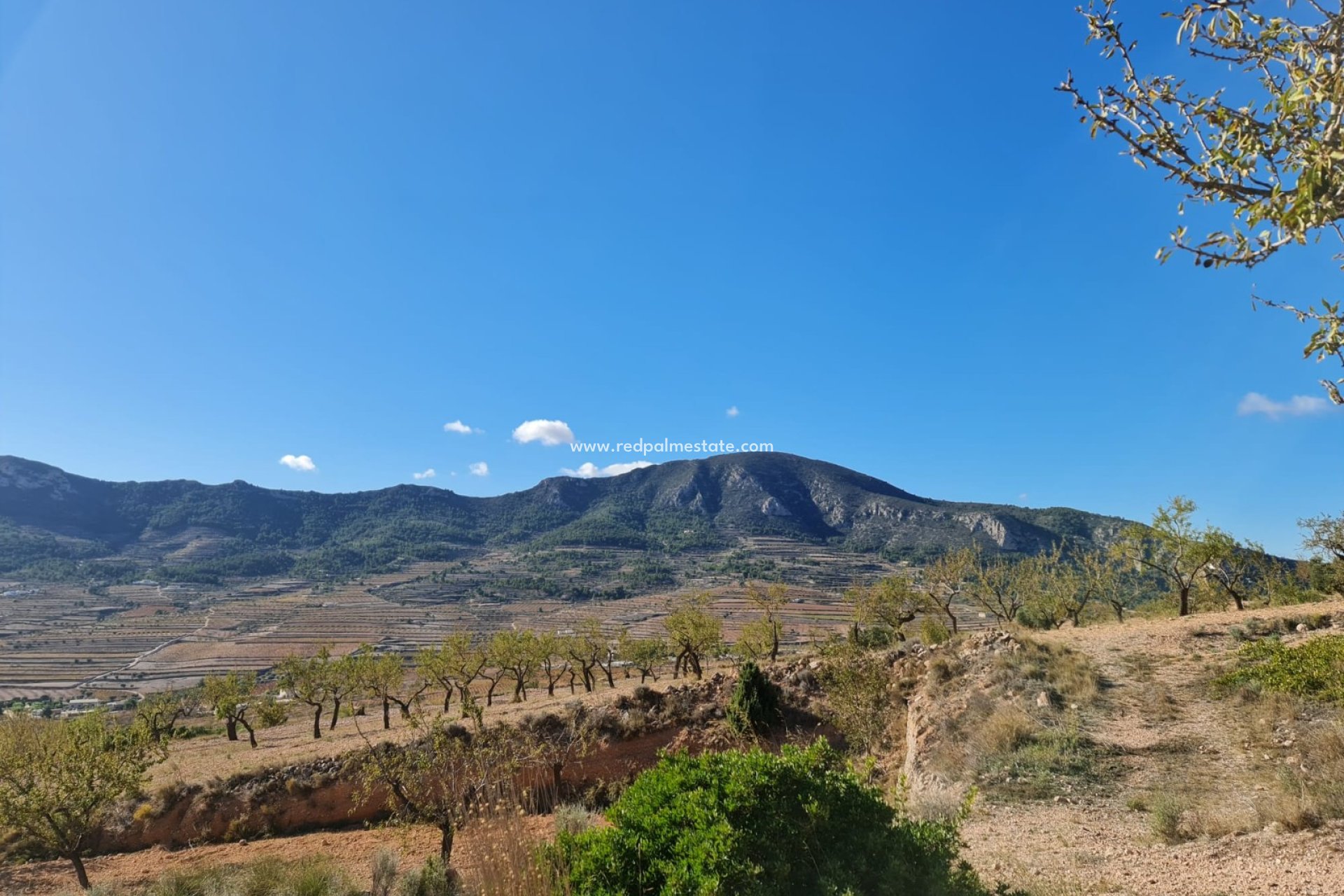 Revente - Parcelle -
La Romana - Inland