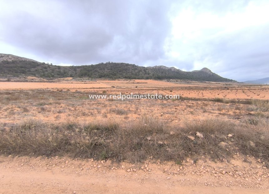 Revente - Parcelle -
La Solana