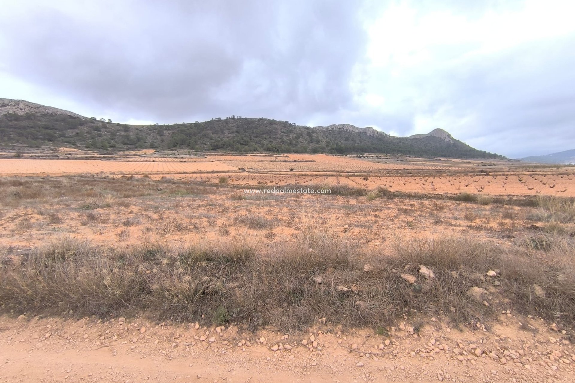 Revente - Parcelle -
La Solana