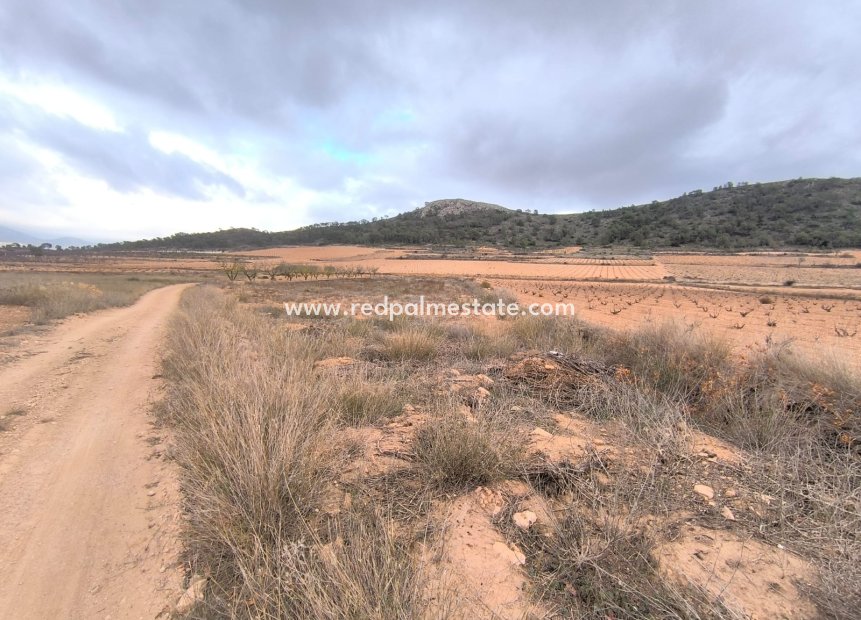 Revente - Parcelle -
La Solana