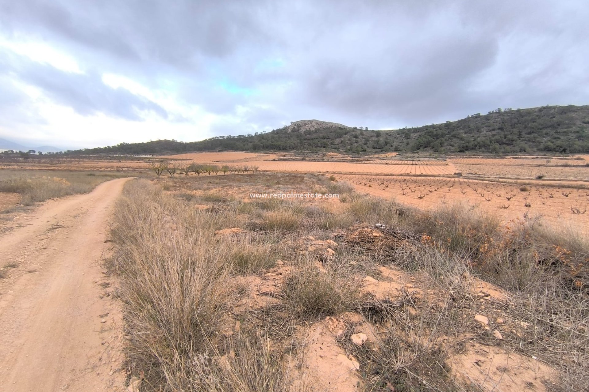 Revente - Parcelle -
La Solana