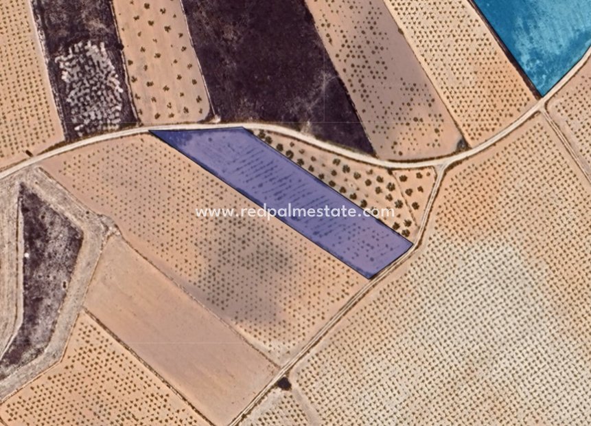 Revente - Parcelle -
La Solana