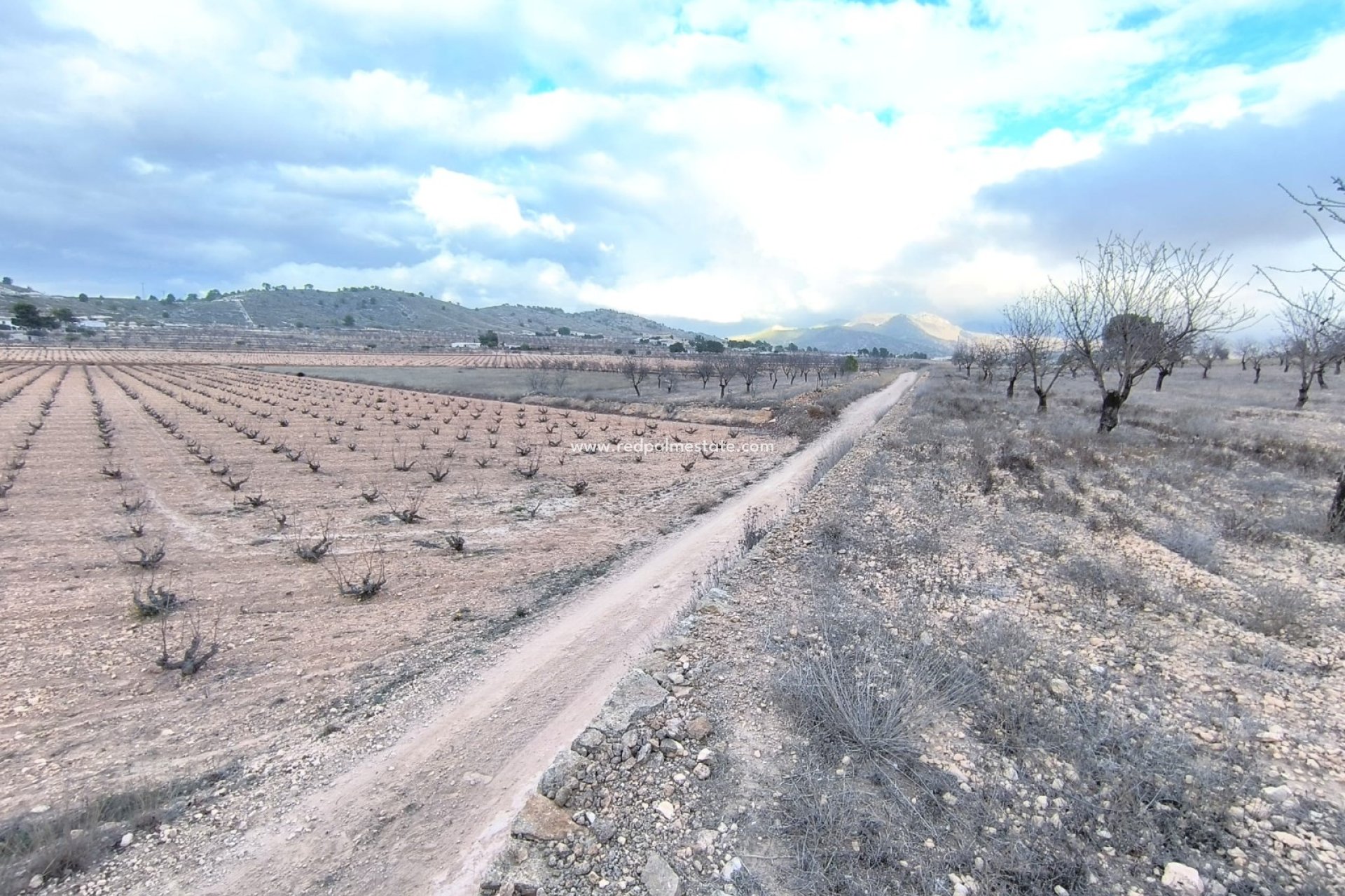 Revente - Parcelle -
La Solana