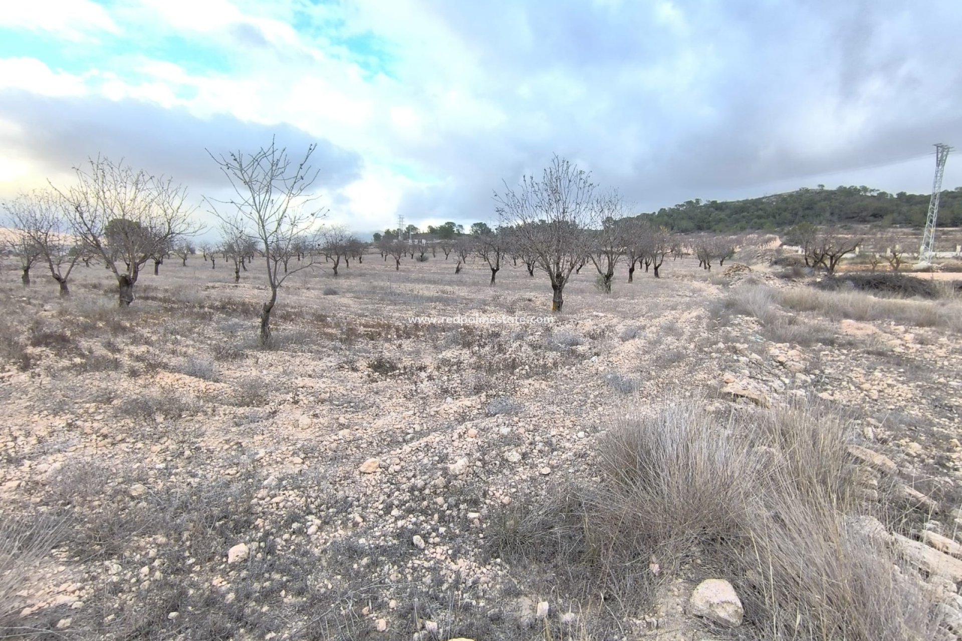 Revente - Parcelle -
La Solana